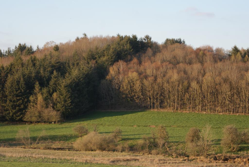 Le gîte de l Ourthe Ortheuville Extérieur photo