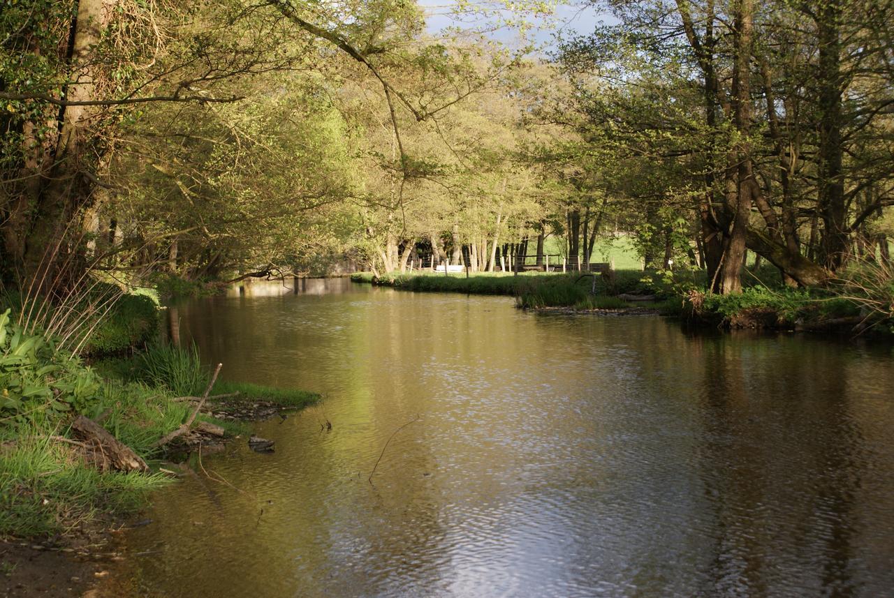 Le gîte de l Ourthe Ortheuville Extérieur photo